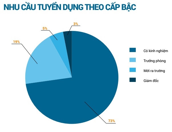 IT dang la nganh co nhu cau tuyen dung lon nhat ca nuoc hinh anh 2