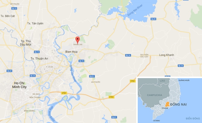 Tam giu 'yeu rau xanh' cuong hiep em gai cua ban hinh anh 1