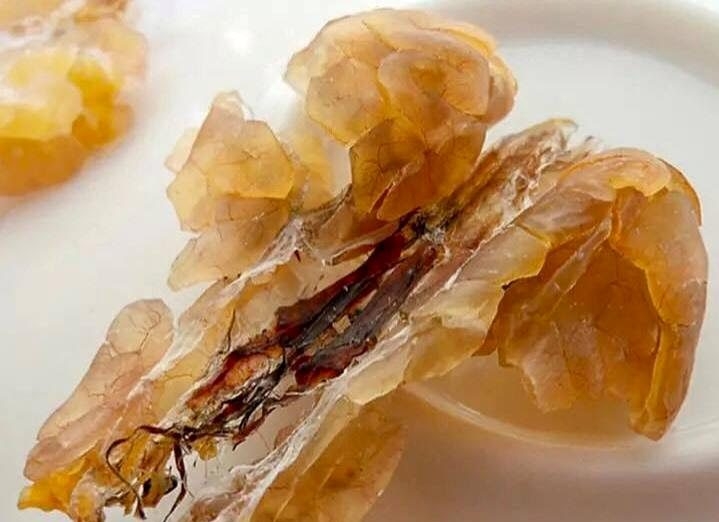 tuyết giáp, thần dược, thần dược phòng the, đồ ăn giải nhiệt, đặc sản nhà giàu