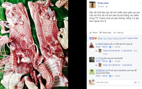 Người dân khắp nơi khoe ảnh giải cứu lợn cho người nông dân - Ảnh 2.
