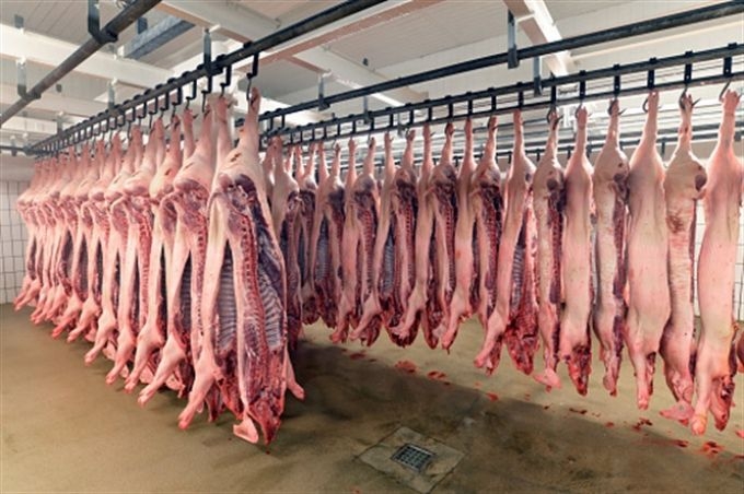 Kết quả hình ảnh cho cấp đông heo thịt