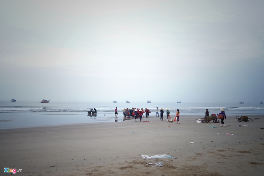 Lang bien Quang Binh chat vat hoi sinh mot nam sau su co Formosa hinh anh 1