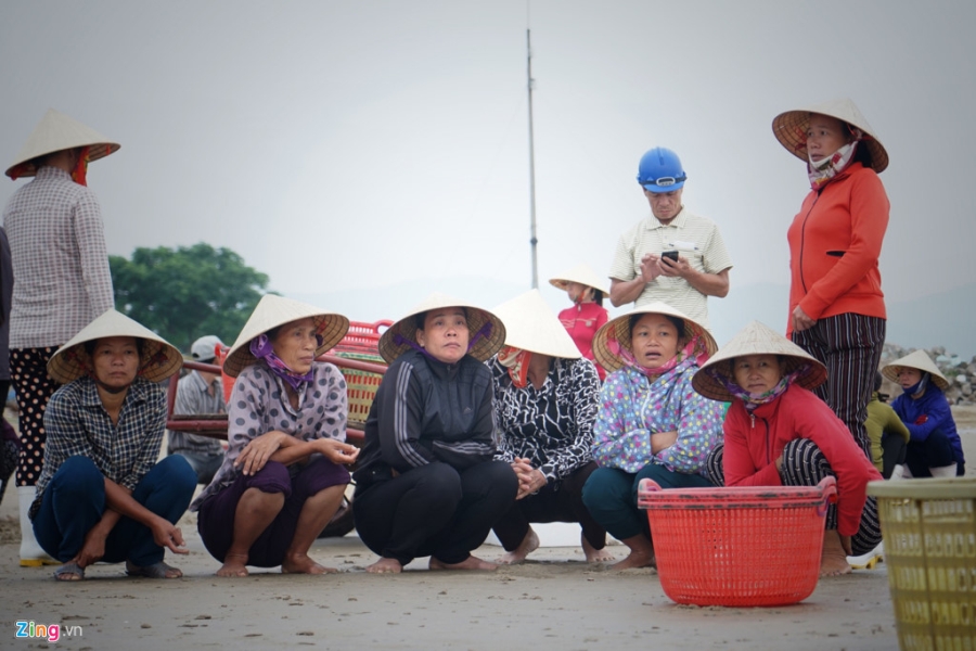 Lang bien Quang Binh chat vat hoi sinh mot nam sau su co Formosa hinh anh 2