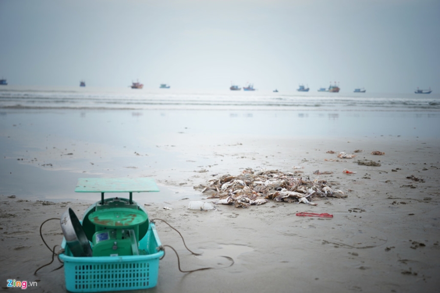 Lang bien Quang Binh chat vat hoi sinh mot nam sau su co Formosa hinh anh 4