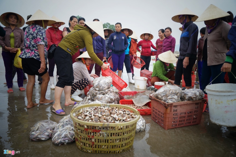 Lang bien Quang Binh chat vat hoi sinh mot nam sau su co Formosa hinh anh 7