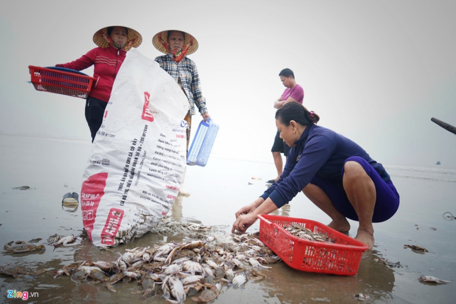Lang bien Quang Binh chat vat hoi sinh mot nam sau su co Formosa hinh anh 11