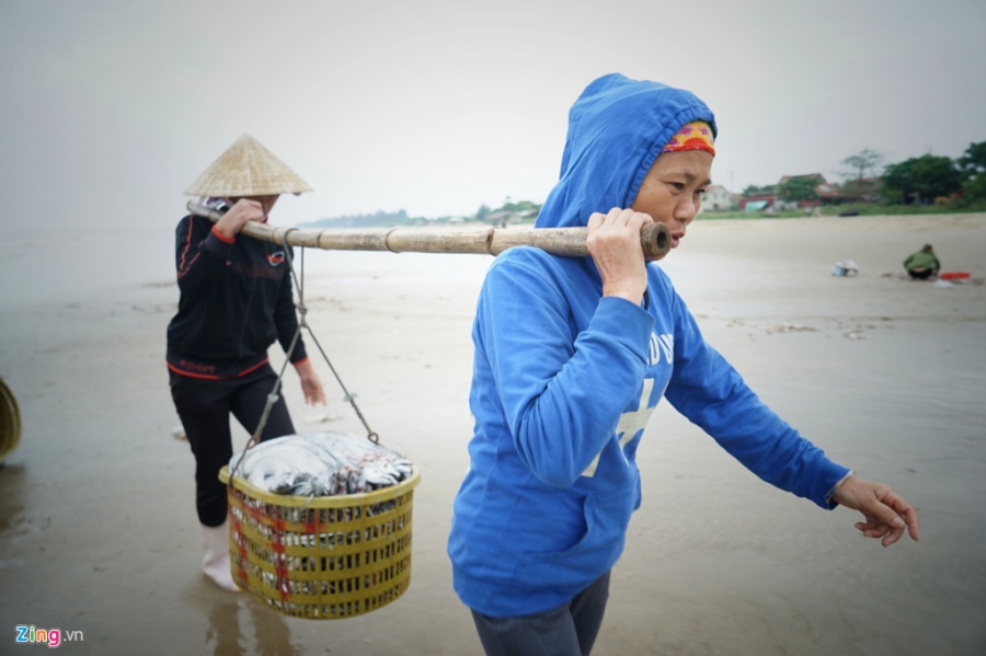 Lang bien Quang Binh chat vat hoi sinh mot nam sau su co Formosa hinh anh 15
