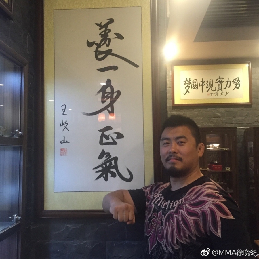 Vo si MMA: Toi co don khi chong lai 7 mon phai hinh anh 2