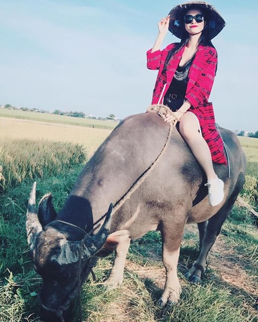 Dong Nhi dang clip cuoi trau, khien fan thich thu hinh anh 1