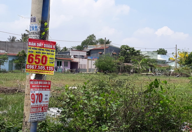 Vao diem nong sot dat quan 9, xem dan mua dat nhu… chon rau hinh anh 2