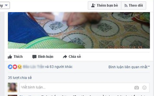 thuc hu chuyen bo liet bi con doi xu te o hai phong hinh anh 1