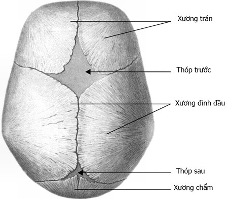 muon biet con sinh ra phat trien khoe manh hay khong, xem ngay bo phan nay - 1