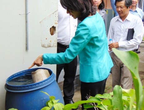 'Muỗi quý tộc' tấn công trên 6.500 dân TP.HCM   - ảnh 1