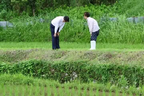 Nhân viên đoàn hộ tống Thủ tướng Nhật Bản cúi đầu chào và cảm ơn người đi xe đạp vì đã nhường đường - Ảnh 2. Nhân viên đoàn hộ tống Thủ tướng Nhật Bản cúi đầu chào và cảm ơn người đi xe đạp vì đã nhường đường - Ảnh 2.