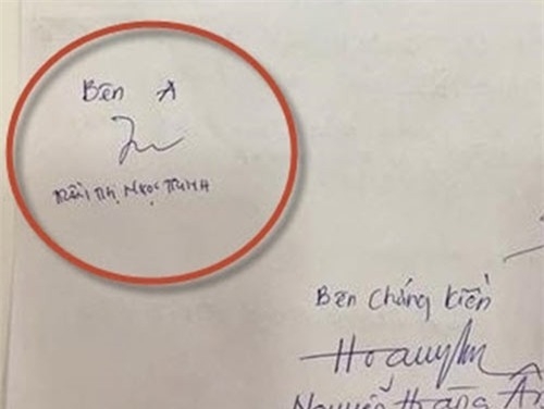 bat ngo voi net chu ho ngoc ha, pham huong, ngoc trinh, hari won hinh anh 1