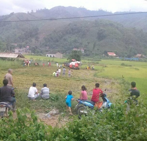 phia sau buc anh ca lang xem may gat nhu di hoi hinh anh 1