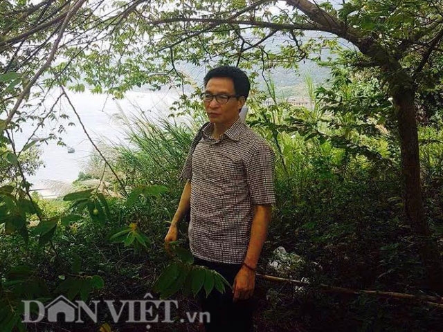 chieu nay chinh phu nghe da nang trinh bay ve son tra hinh anh 1
