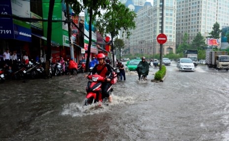 Tiet lo bat ngo ve du an 'het ngap moi lay tien' hinh anh 2