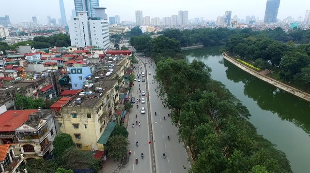 Hàng xà cừ trên đường Kim Mã đã được đánh chuyển về vườn ươm (Ảnh: Hà Trang)