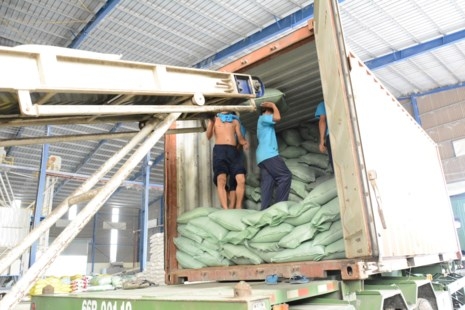 Trung Quốc 'ăn' gần 50% lượng gạo Việt Nam - ảnh 1