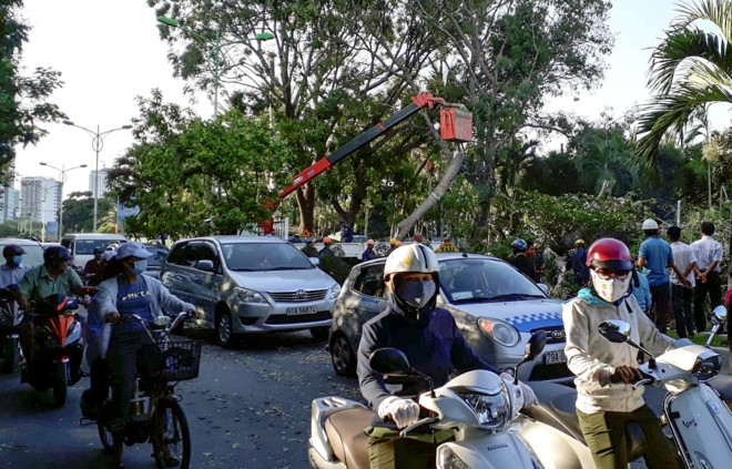 Trung tam Nha Trang tac cung vi xa cu co thu bat goc chan ngang duong hinh anh 2
