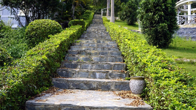 Người phán xử, Phan Quân, nhà đẹp, ông trùm Phan Quân