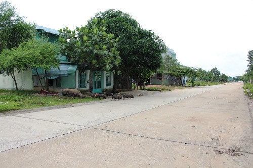 sốt đất nền Bình Dương, khu đô thị bỏ hoang, bất động sản Bình Dương
