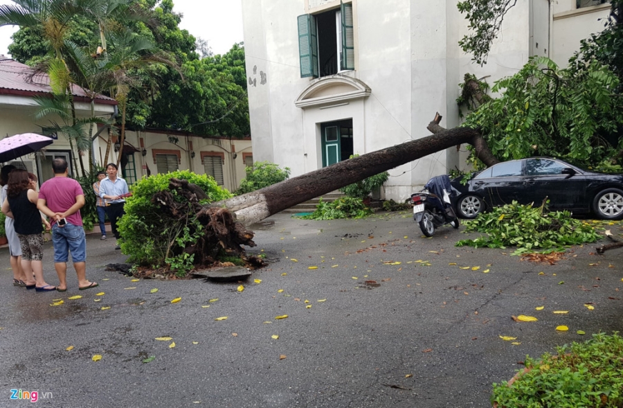 Nhieu tuyen pho ngap sau, cay do sau mua lon o Ha Noi hinh anh 1