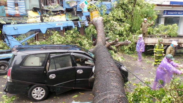 Ông Vũ Kiên Trung cho biết, khi có hiện tượng mưa giông người dân cần hạn chế di chuyển ra đường.