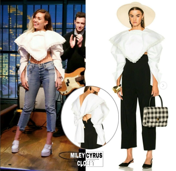 Miley Cyrus so huu nhung trang phuc hang hieu nao trong tu do? hinh anh 8