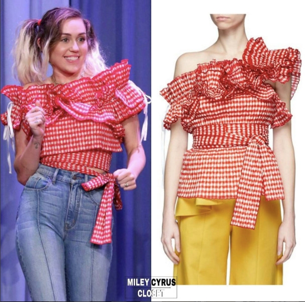 Miley Cyrus so huu nhung trang phuc hang hieu nao trong tu do? hinh anh 9