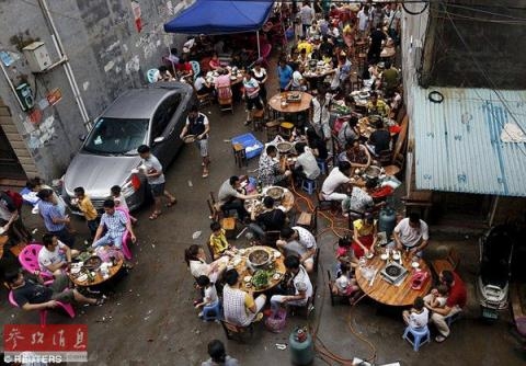 thịt lợn, tam thất, thịt chó, thực phẩm bẩn, rau sạch, tỏi Trung Quốc, quả thanh mai