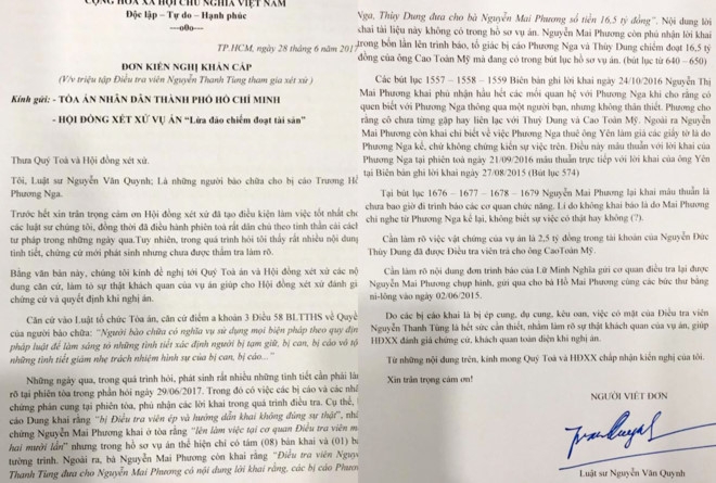 Vi sao luat su cua Phuong Nga kien nghi trieu tap dieu tra vien? hinh anh 1