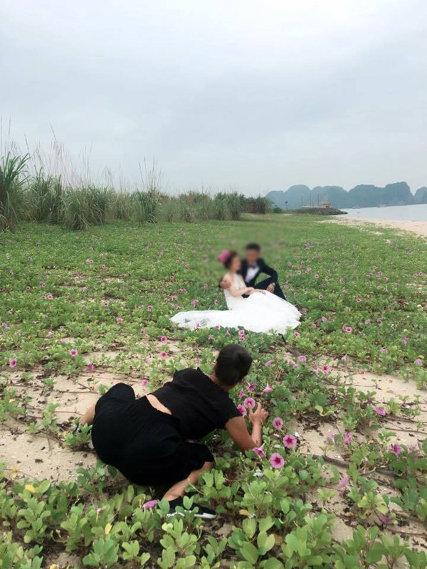 hau truong khong nhin duoc cuoi voi co tho anh 