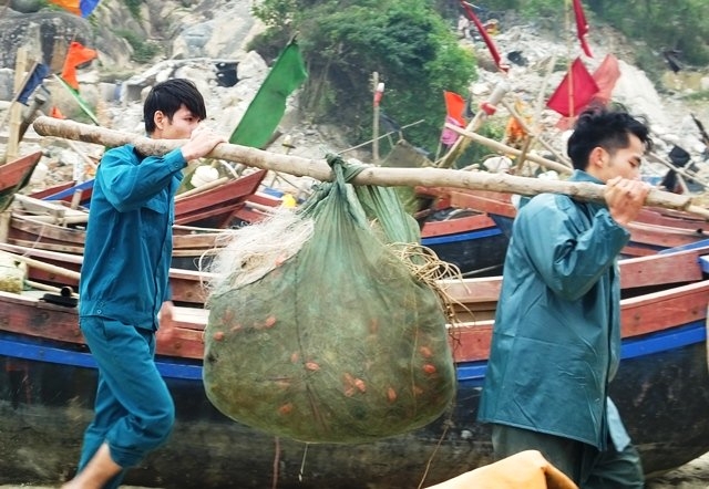 dự báo thời tiết, tin bão, cơn bão số 2, bão số 2, tin bão, tin bão mới nhất