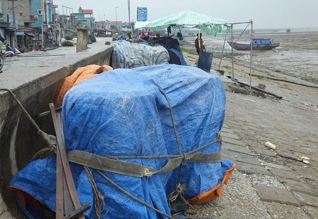 dự báo thời tiết, tin bão, cơn bão số 2, bão số 2, tin bão, tin bão mới nhất
