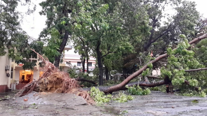 4.000 khach ket tau, oto noi duoi nhau tap le duong vi mua bao hinh anh 1