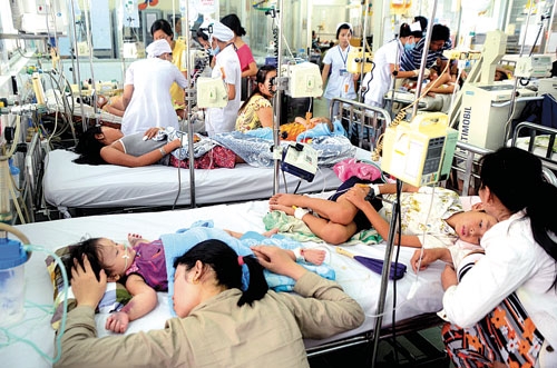 Kết quả hình ảnh cho Dịch sốt xuất huyết