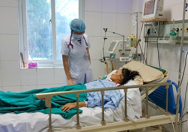 sốt xuất huyết, muỗi đốt, muỗi vằn