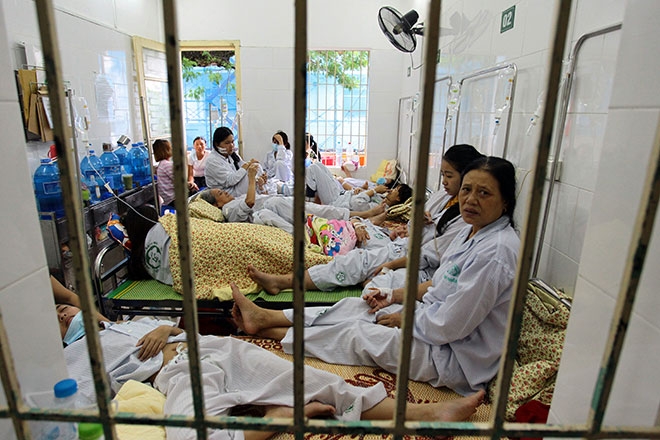 benh vien qua tai, bac si quay cuong vi dich sot xuat huyet hinh anh 6