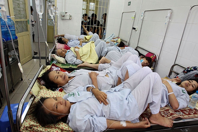 benh vien qua tai, bac si quay cuong vi dich sot xuat huyet hinh anh 10