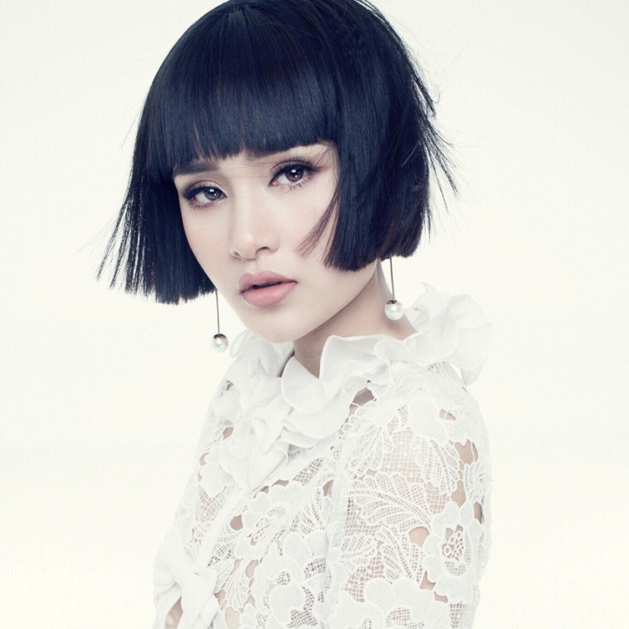 Dang sau nhung tro lo nham danh bong ten tuoi trong showbiz Viet hinh anh 2