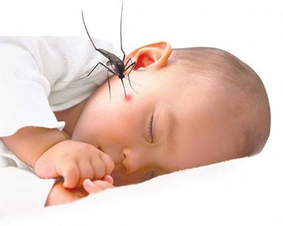 Những phương pháp bảo vệ bạn và gia đình khỏi bị sốt xuất huyết - ảnh 1