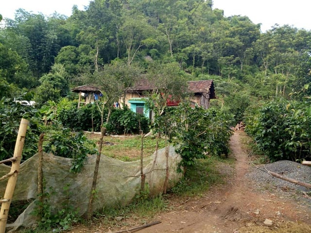 son la: hang loat nguoi dan trong ban co bieu hien bat thuong hinh anh 1