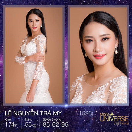 Lộ diện những ứng viên nặng ký của Hoa hậu Hoàn vũ Việt Nam 2017 ảnh 3