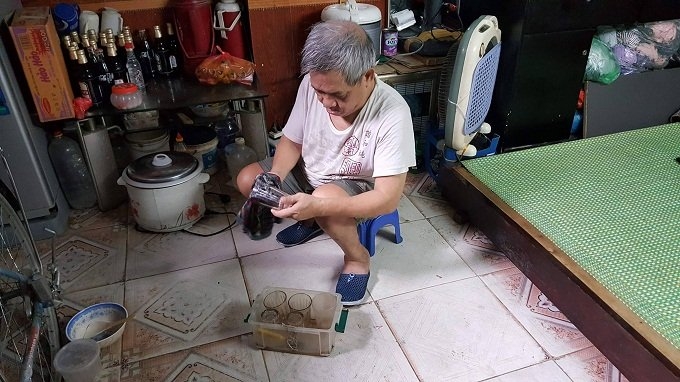 Phố cổ Hà Nội, tình yêu, hôn nhân, đám cưới