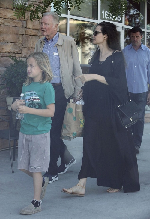 angelina-jolie-tinh-cam-ben-bo-de-sau-nhieu-nam-lanh-nhat-2