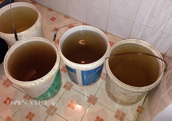 ninh binh: hoang mang vi nuoc sach toan hen chet, boc mui hoi tanh hinh anh 2