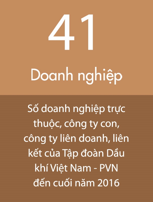 Chot danh sach thoai von hang loat doanh nghiep thuoc PVN hinh anh 1