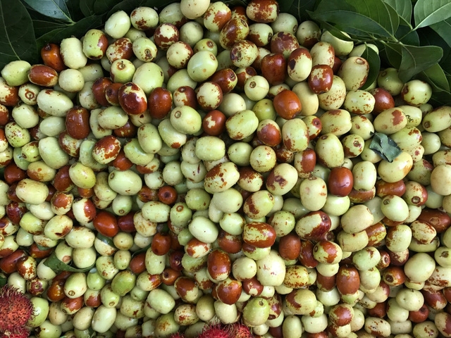 Táo được bày bán ở chợ và trên các trang mạng xã hội với giá bán 90.000 đồng/kg chính là táo Trung Quốc.